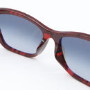 Chanel Sunglasses 5516A 1665/71