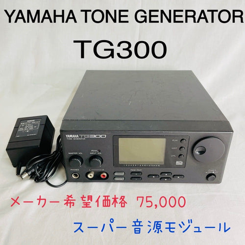 Yamaha Hardware Sound Source Tg300 Midi Dtm 90S Vintage Gm