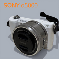 Sony Mirrorless Interchangeable Lips 5000 Sd