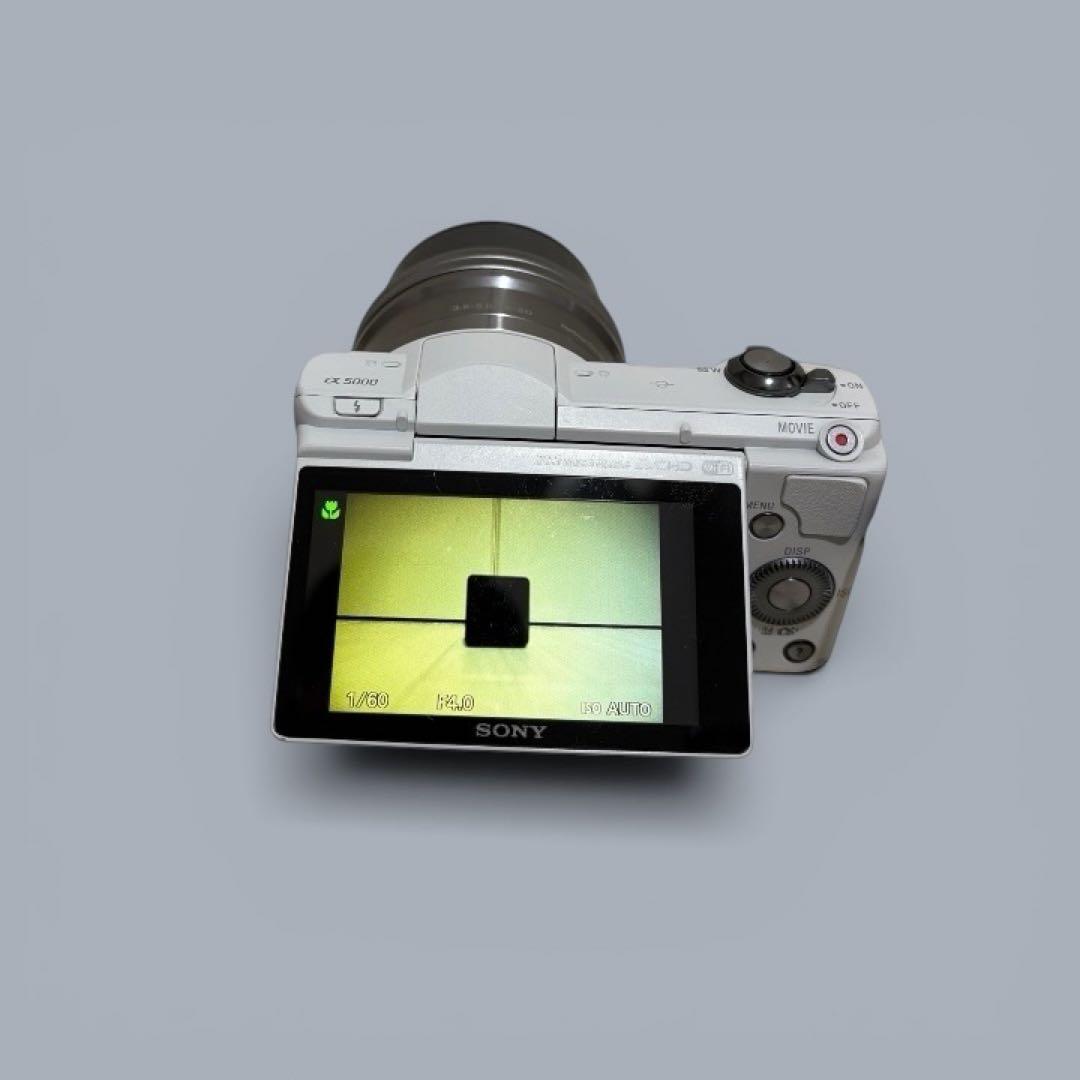 Sony Mirrorless Interchangeable Lips 5000 Sd