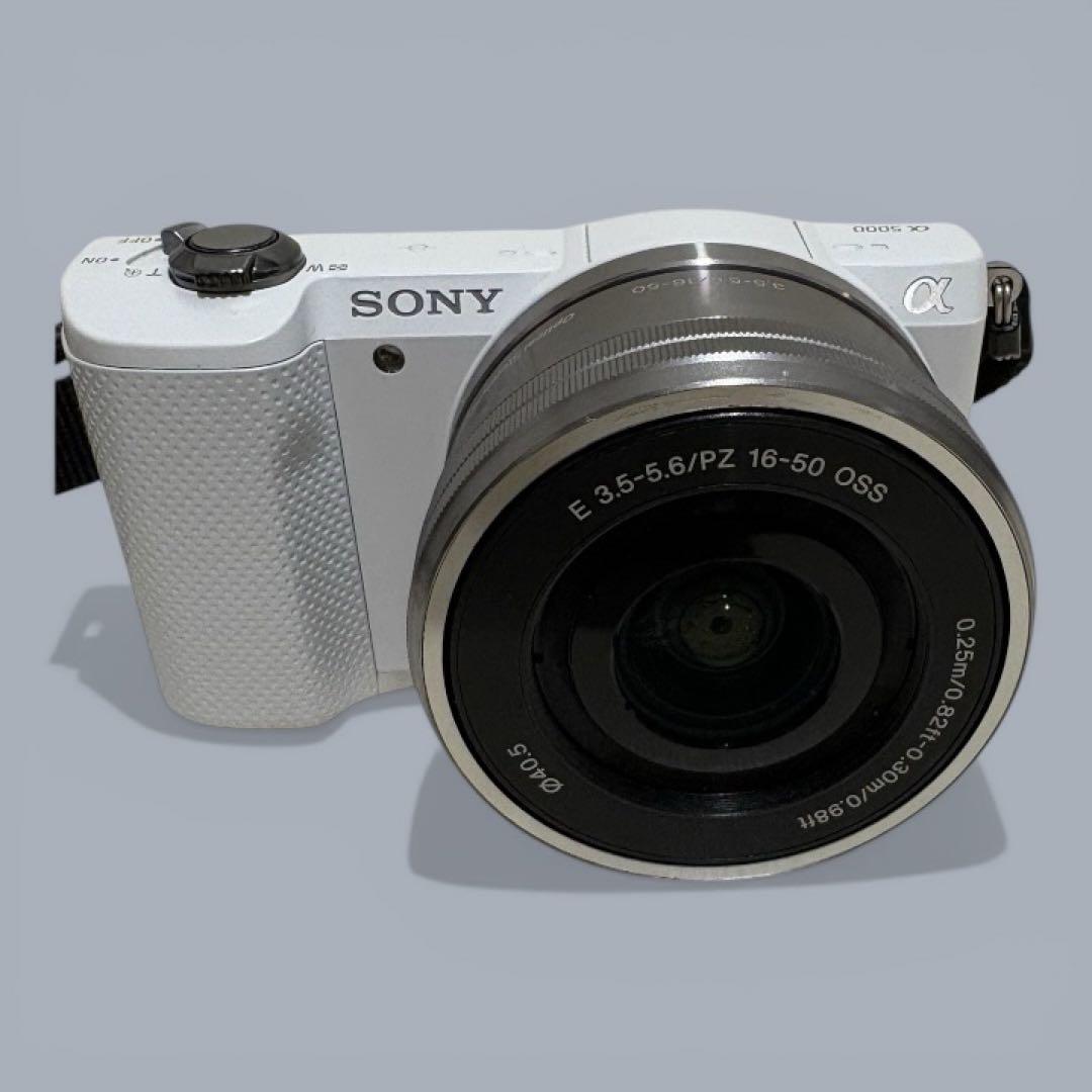 Sony Mirrorless Interchangeable Lips 5000 Sd