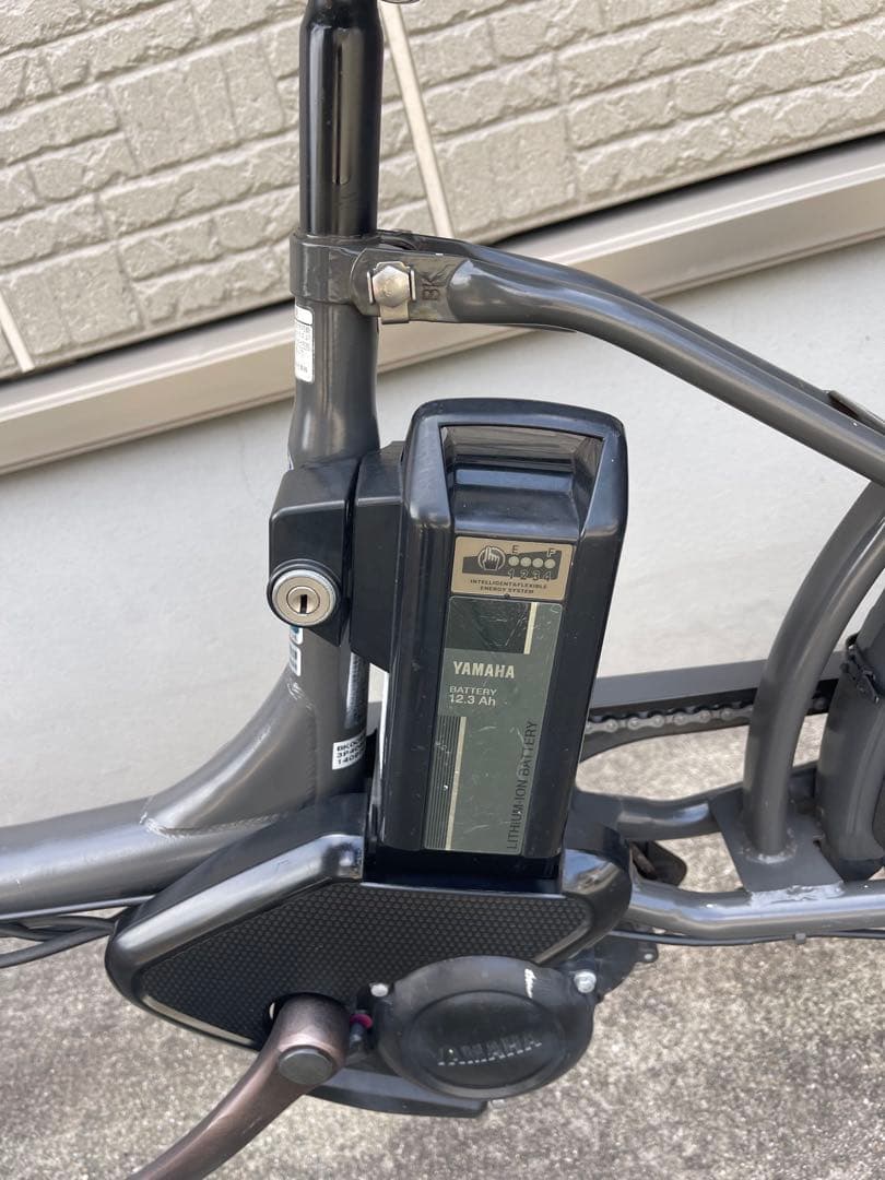 Yamaha Battery Packs Bikke 20 2