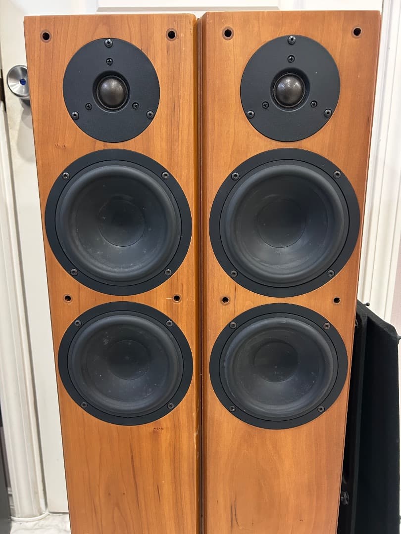 Tannoy Speakers Revolution R2