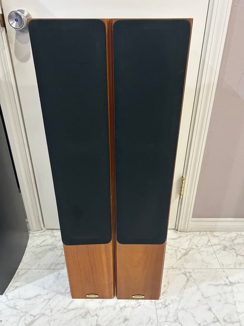 Tannoy Speakers Revolution R2