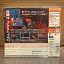 Software (Package Version) [Dc]