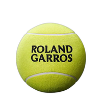 Ball Wilson( Roland Garros 9 Jumbo Tball( T Wrt1419Yd