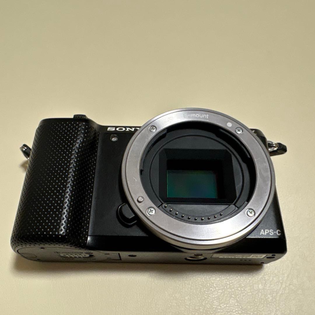 Sony Mirrorless Interchangeable Lens Cameras 5000