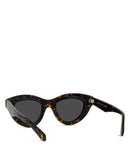 Loewe Sunglasses Cat Eye Shiny Dark Havana Solid Smoke