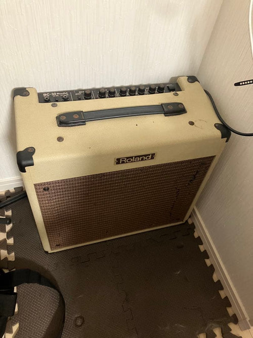 Roland Guitar Amplifier Bc-30