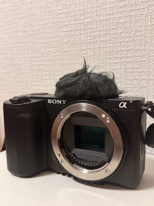 Sony Digital Slrs Vlogcam Zv-E10 Ii