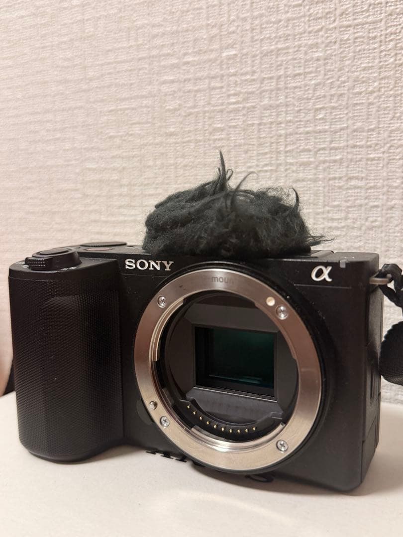 Sony Digital Slrs Vlogcam Zv-E10 Ii