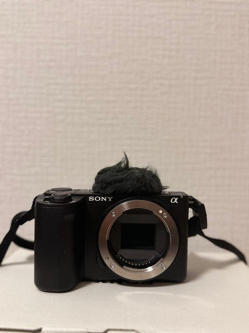 Sony Digital Slrs Vlogcam Zv-E10 Ii