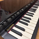 Korg Keyboards Digital Pianos Micropiano