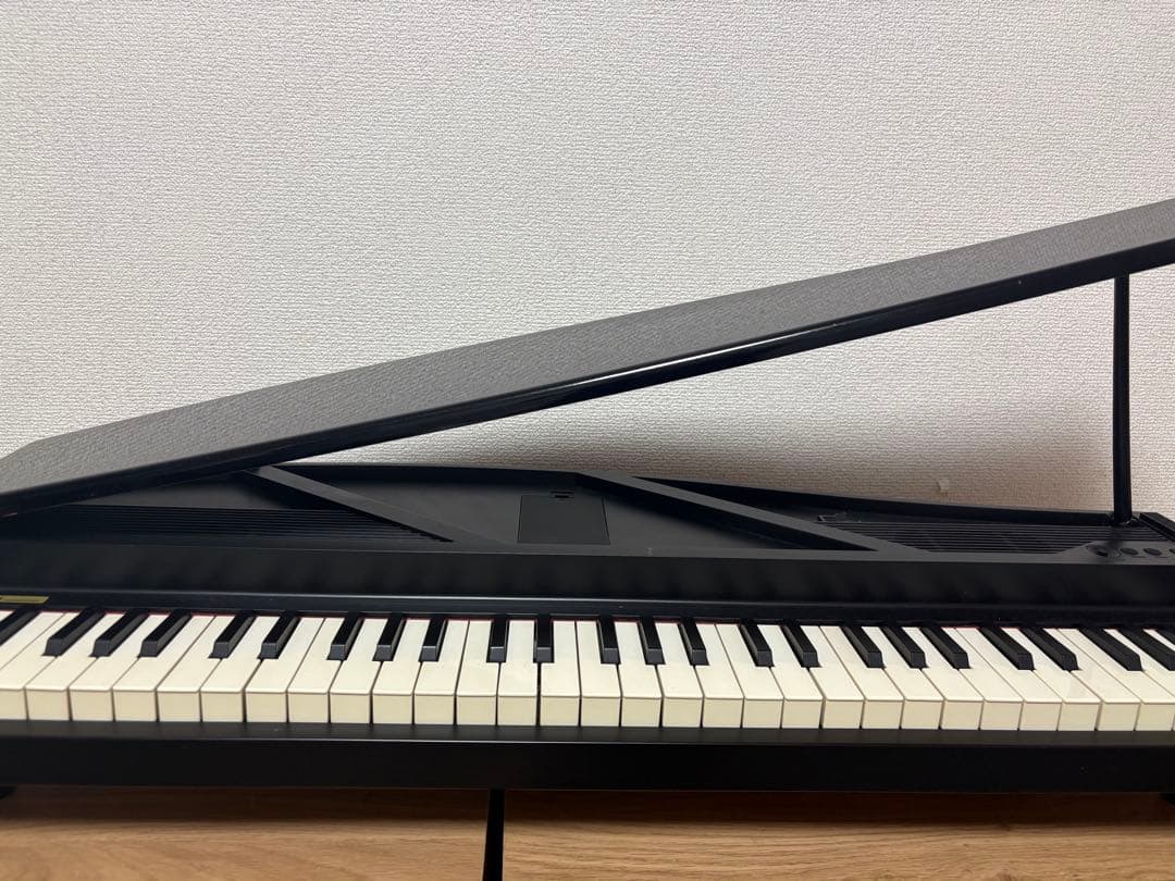 Korg Keyboards Digital Pianos Micropiano