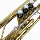 Yamaha Cornet Body Ycr-2311