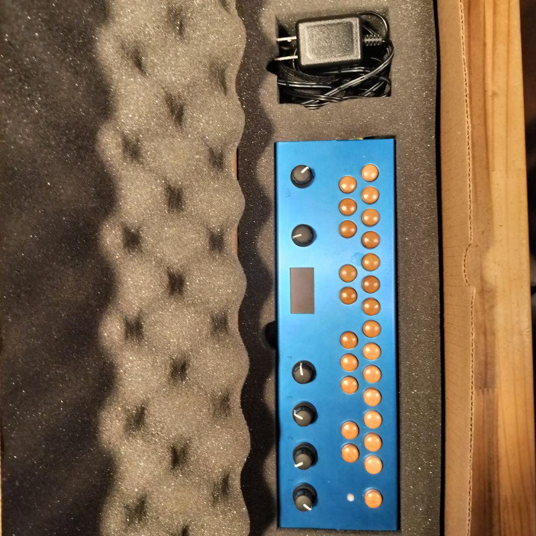 Other Critter Guitari Organelle