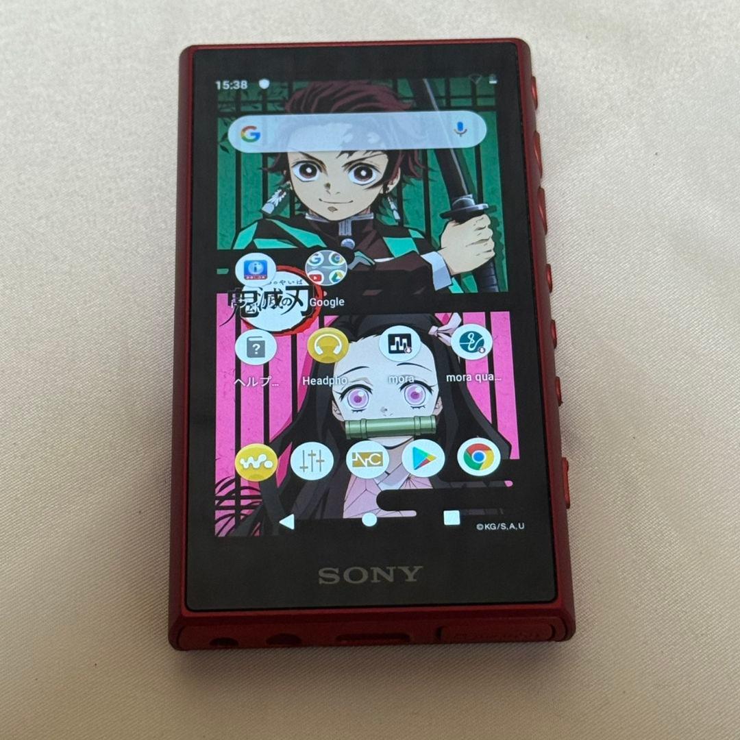 Sony Digital Audio Player Nw-A105