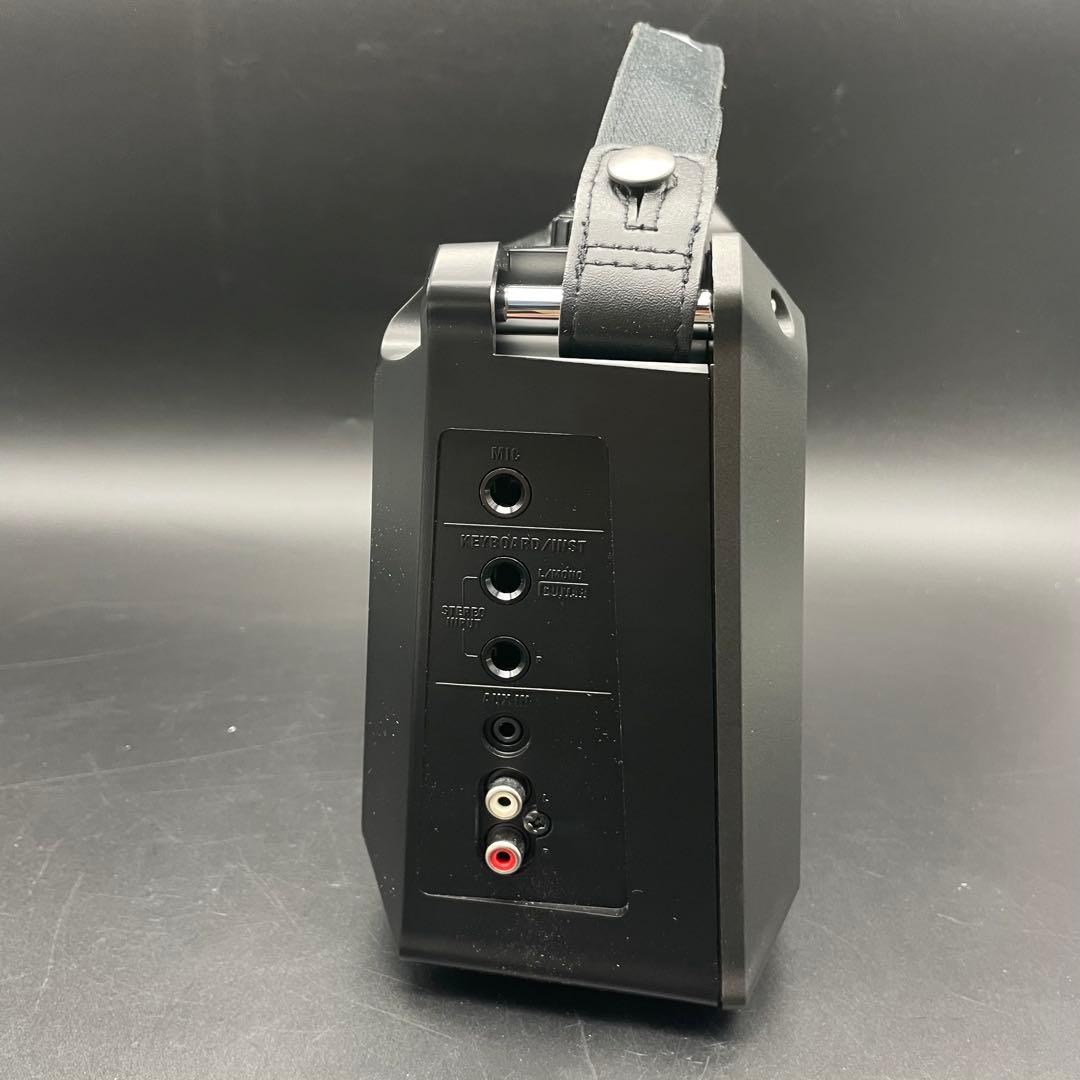 Roland Guitar Amplifiers Mobile Cube