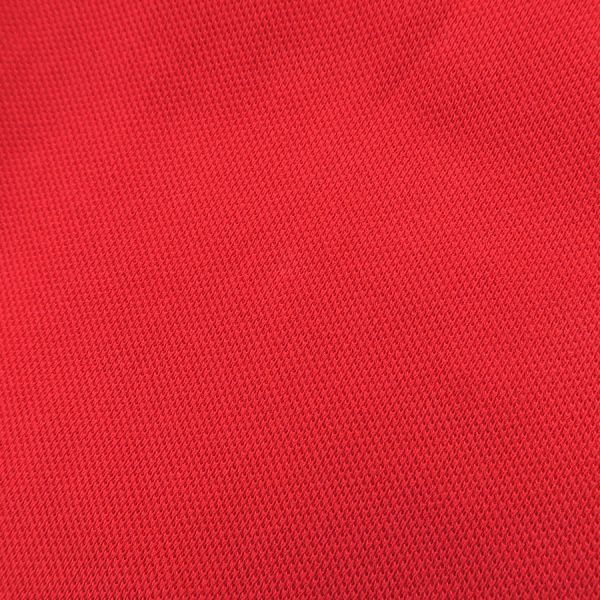 Moncler Polo Shirt B