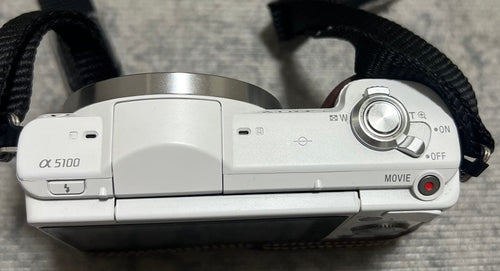 Sony Mirrorless Interchangeable Lips 5100 E