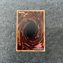 Yu -Gi -Oh! Ocg Duel Monsters 20Th