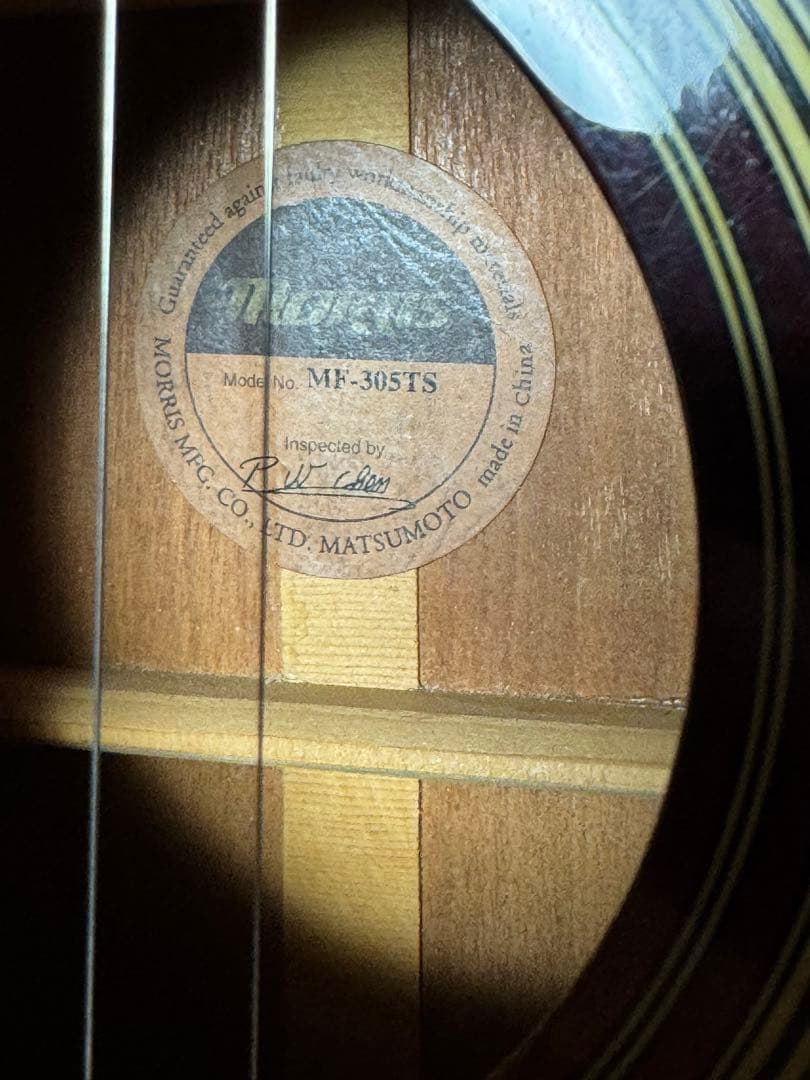 Maurice Acoustic Guitar Morris Mf-305Ts