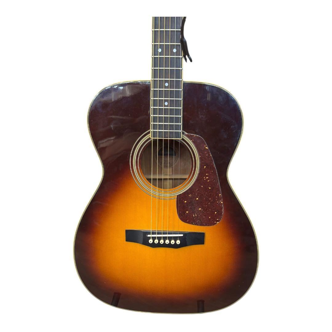 Maurice Acoustic Guitar Morris Mf-305Ts
