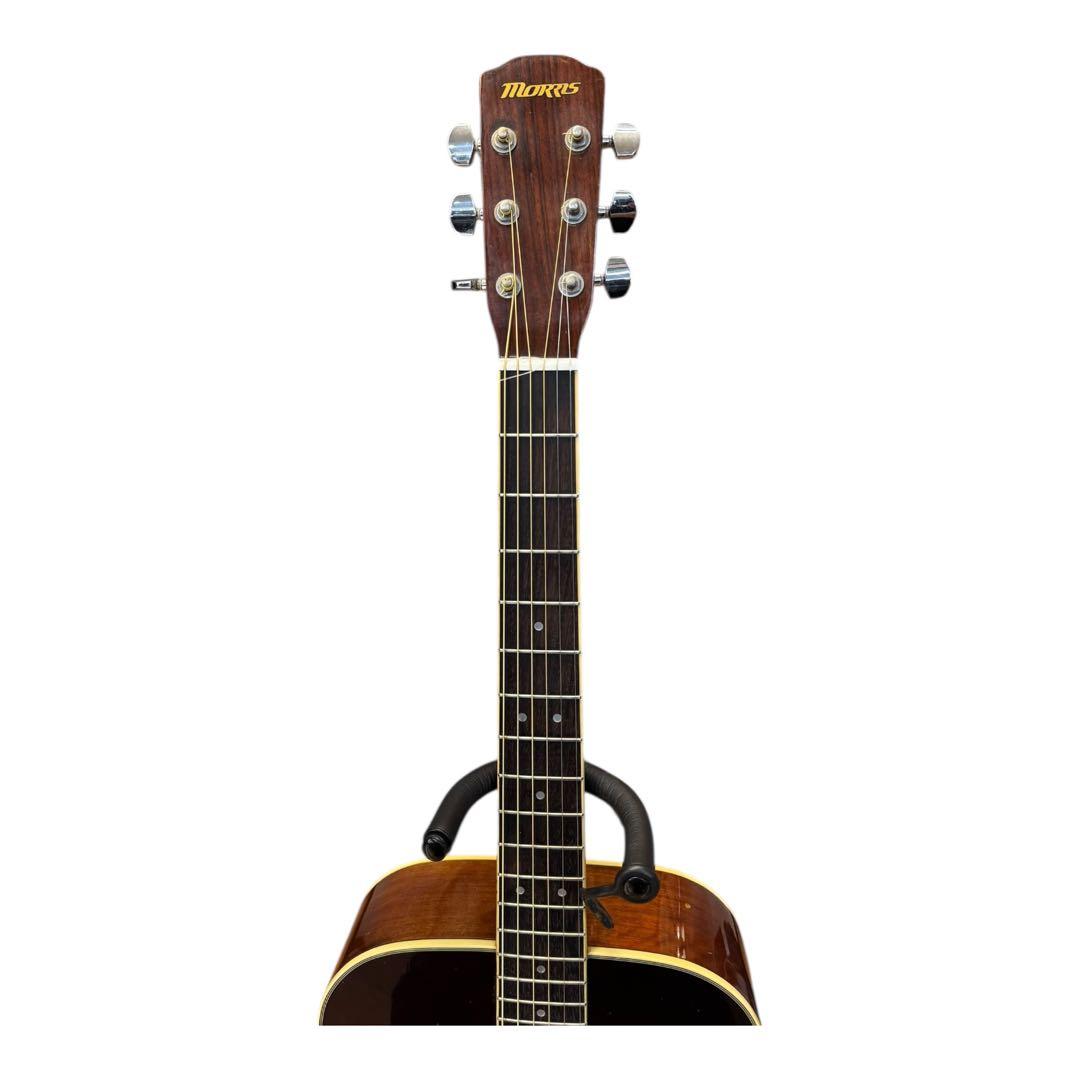 Maurice Acoustic Guitars Morris Mf-305Ts