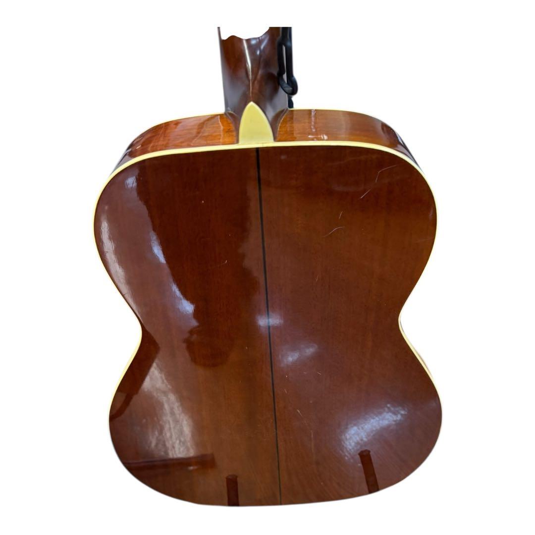 Maurice Acoustic Guitar Morris Mf-305Ts