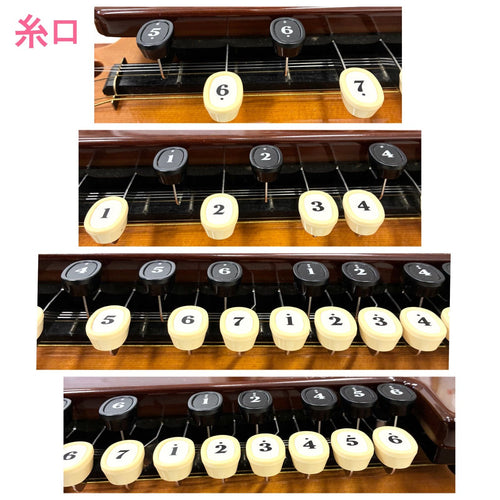 Koto Taisho Yamaha Th-10E