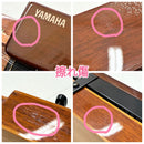 Koto Taisho Yamaha Th-10E