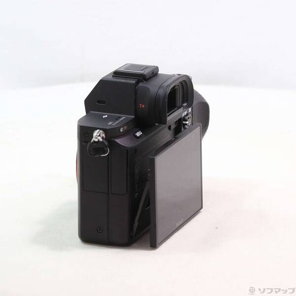 Sony Mirrorless Interchangeable Lips 7R Ii 262