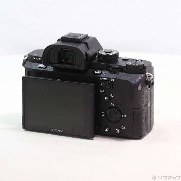 Sony Mirrorless Interchangeable Lips 7R Ii 262