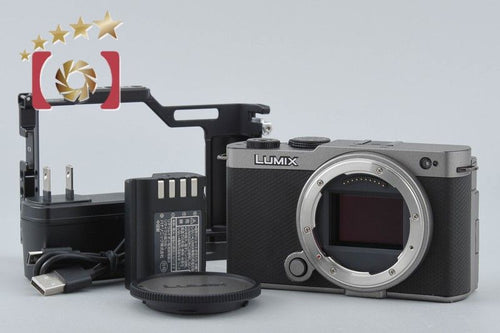 Panasonic Mirrorless Interchangeable Lips Lumix Dc-S9