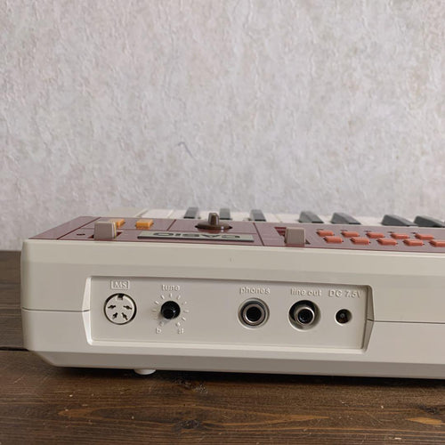 Casio Keyboards Digital Pianos Kt-100