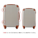 Carry Case S 2 3 Tsa