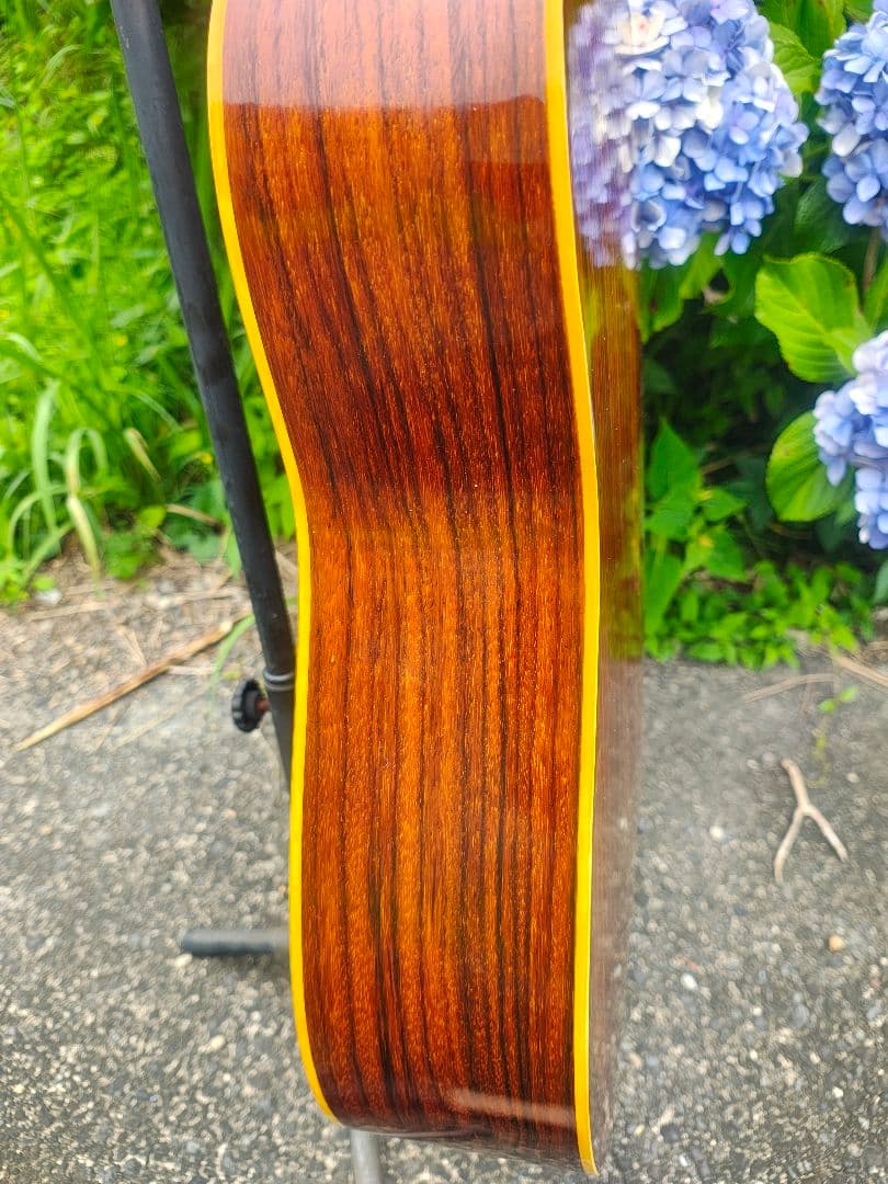 Acoustic Guitars Yamaki Deluxe Folk No.130