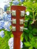 Acoustic Guitars Yamaki Deluxe Folk No.130