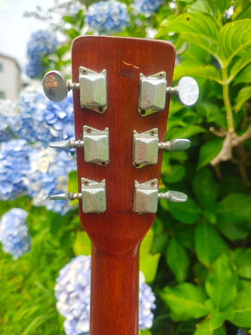 Acoustic Guitars Yamaki Deluxe Folk No.130