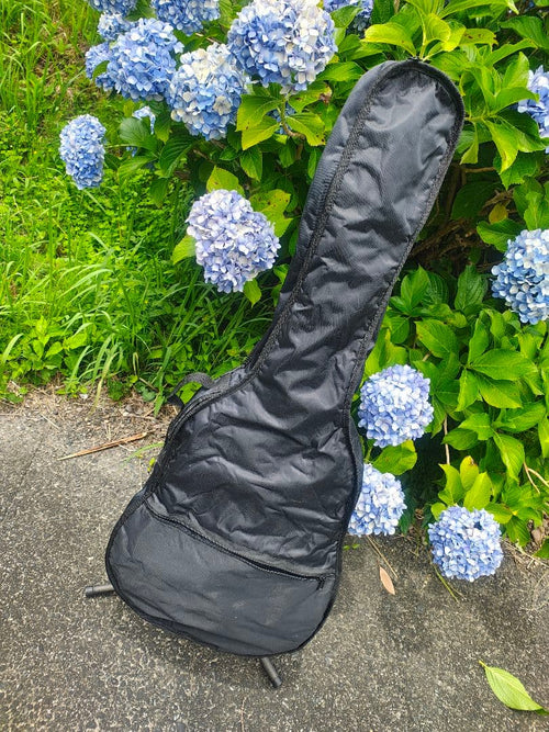 Acoustic Guitars Yamaki Deluxe Folk No.130