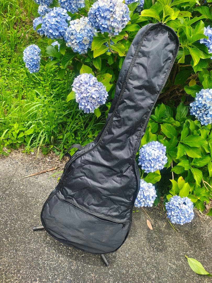 Acoustic Guitars Yamaki Deluxe Folk No.130