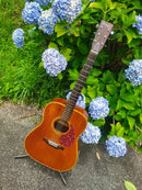 Acoustic Guitars Yamaki Deluxe Folk No.130