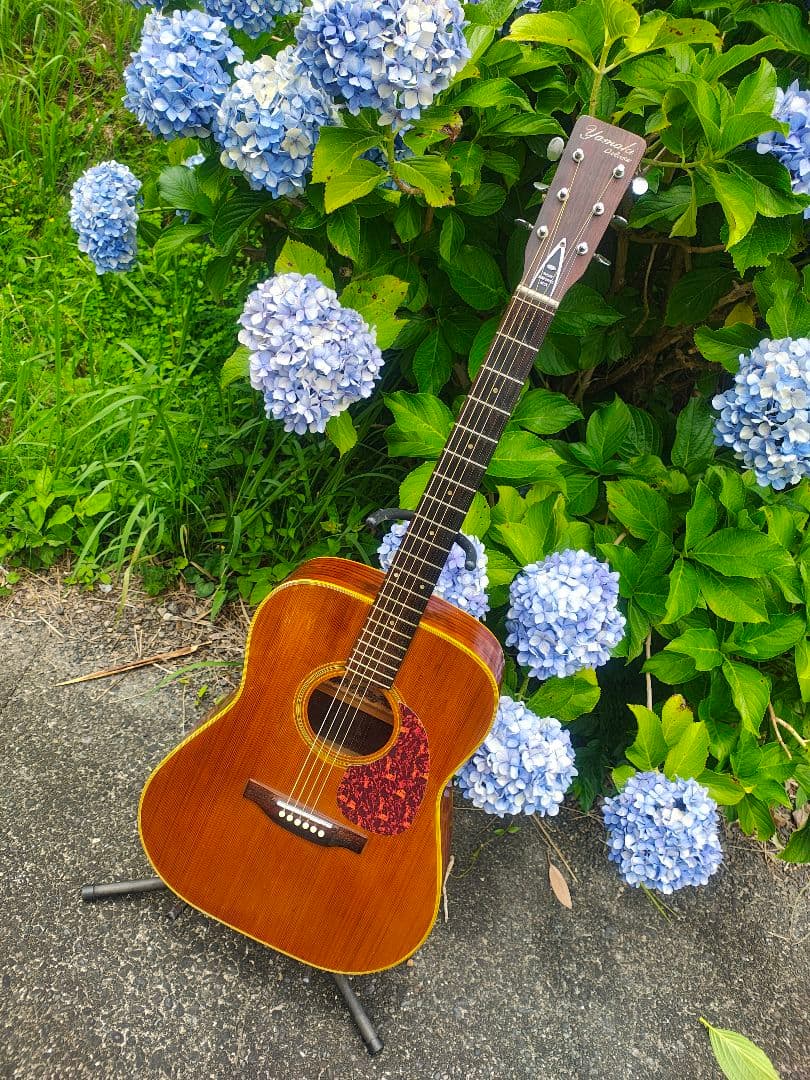 Acoustic Guitars Yamaki Deluxe Folk No.130