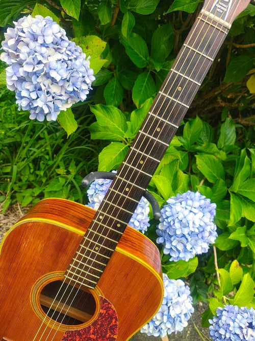 Acoustic Guitars Yamaki Deluxe Folk No.130