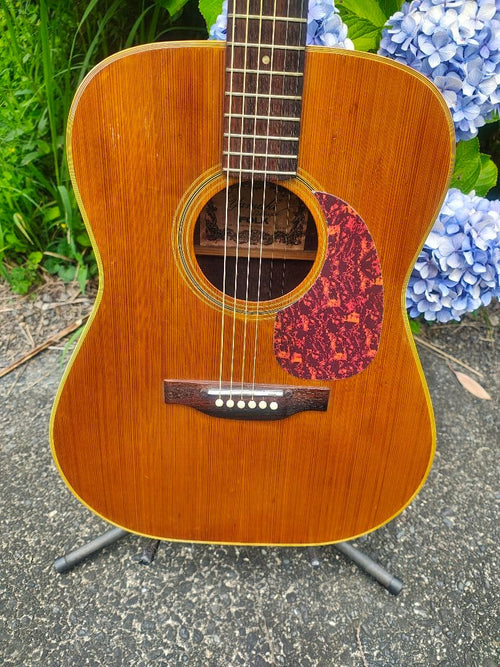 Acoustic Guitars Yamaki Deluxe Folk No.130