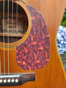 Acoustic Guitars Yamaki Deluxe Folk No.130