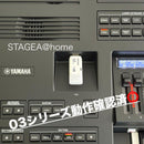 Electronic Organs Usb 03
