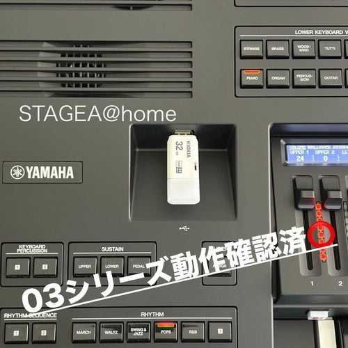 Electronic Organs Usb 03