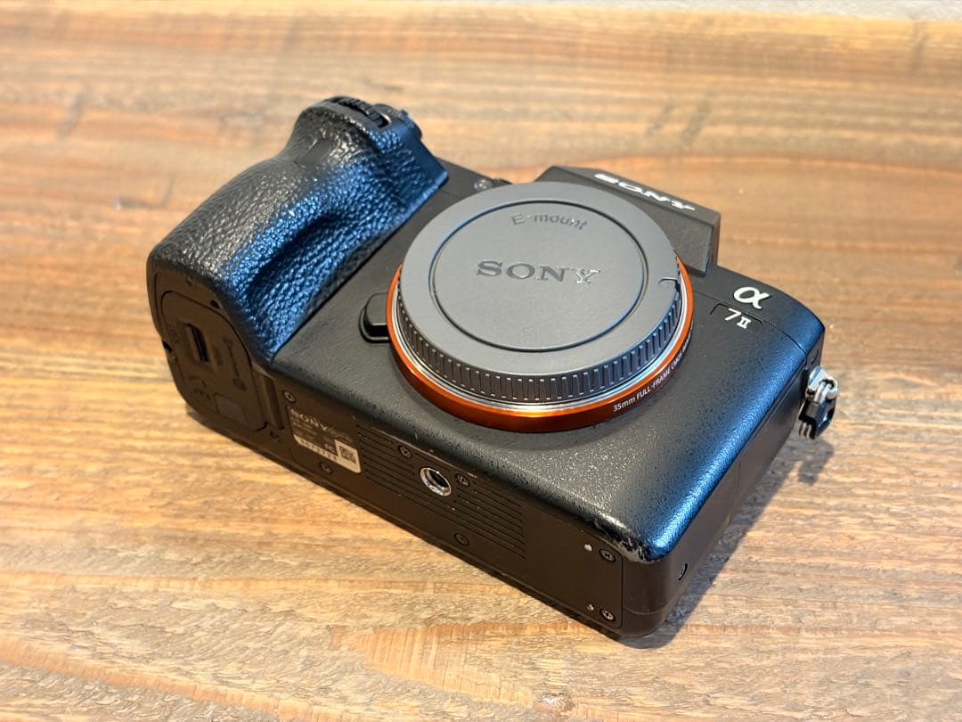 Sony Mirrorless Interchangeable Lens Cameras 7Ii