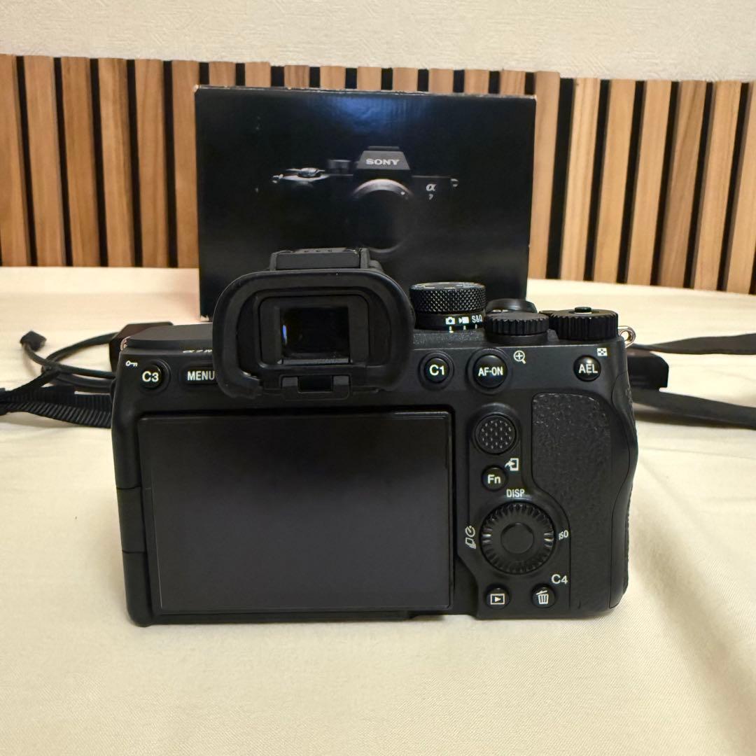Sony Mirrorless Interchangeable Lens Cameras 7 Iv